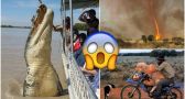 30 Pics that PROVE that AUSTRALIA is the CRAZIEST place on EARTH