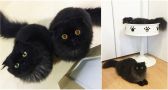 These Two Fluff-Balls Might Just Be The Cutest Black Cats You've Ever Seen!