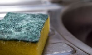 Do you know how often you should really change your kitchen sponge?