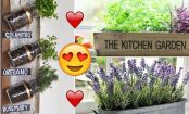 EASY tips to turn your tiny KITCHEN into a beautiful, bountiful GARDEN!