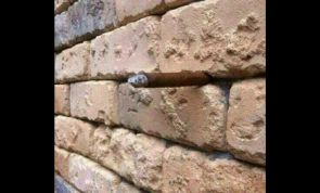 PHOTO: Only 4% of people can FIGURE OUT this brick wall ILLUSION. Can YOU?!