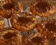 VIDEO: Salted Caramel Thumbprint Cookies
