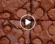 VIDEO: Ferrero Rocher Brownies