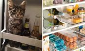 10 foods you should NEVER store in the refrigerator