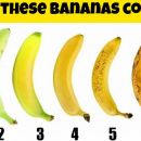 9 Surprising Health Benefits of Bananas