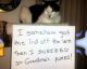 22 totally EVIL cats who were SHAMED for their CRIMES