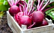 You Should Be Eating More Beetroot... Here's Why