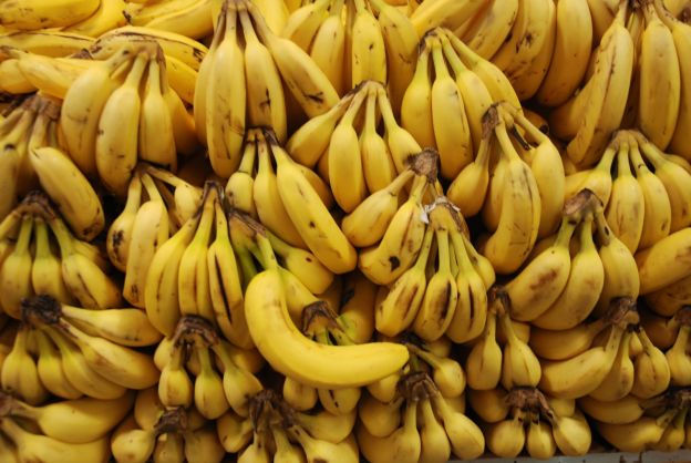 Bananas Are On the Verge of Extinction (Again)