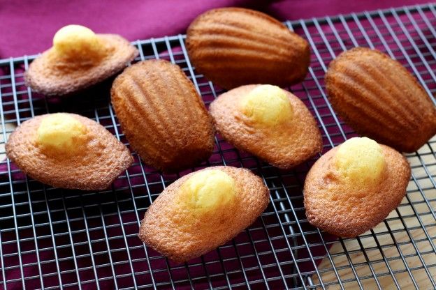 Madeleines, the only recipe you can trust
