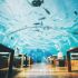 Ithaa Undersea Restaurant, Maldives — $320 per person