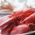 Myth: Lobsters Scream When You Boil Them Alive