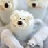 Polar bear hot chocolate