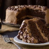 Malted Chocolate Stout Cake