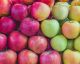 How to Pick the Best Apples for Fall Cooking