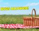 Drinks That Don't Attract Wasps, And Other Essential Picnic Tips