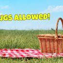 Drinks That Don't Attract Wasps, And Other Essential Picnic Tips