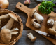 Everything You Need to Know About Foraging Mushrooms