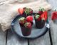 These Chocolate Serving Cups Will Up Your Hosting Game