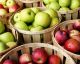 10 Fruits To Fall In Love With This Season