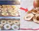 How To Make Dried Fruit At Home