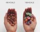 These Photos Will Change How You Think Of Dieting For Good