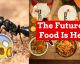 Insects and Lab Meat: What's For Dinner In 2117
