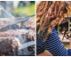 BBQ Care: Preparing Your Grill For The End of Summer