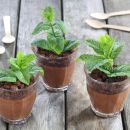 Fun Treats: Chocolate Mousse Flower Pots