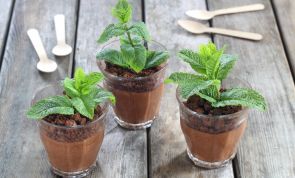 Fun Treats: Chocolate Mousse Flower Pots