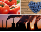 Live A Healthier Life with These 10 Foods Rich in Antioxidants