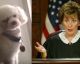 Judge Judy Determined This Dog's True Owner. Here's Why It Went Viral:
