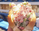 America's 30 Best Lobster Rolls