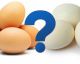 Why are some eggs WHITE and others BROWN?