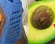 Here's Why You Shouldn't WASTE The Avocado PIT...