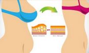 The Best Way To Lose Belly Flab