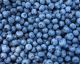 These Seasonal Foods Are Sure to Boost Your Mood