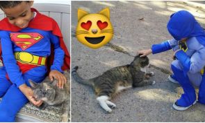 This Amazing 5-Year-Old Is a Superhero for Homeless Cats