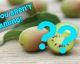 This strange hybrid fruit is about to shake up the world