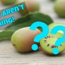 This strange hybrid fruit is about to shake up the world