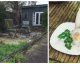 Best-Rated London Restaurant on TripAdvisor Turns Out to Be a Scam