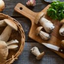 Porcini, Chanterelle, Chestnut: A Guide to Wild Mushrooms with Recipes
