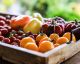 Check Out the Most Unique Farmers Markets Across the USA