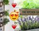 EASY tips to turn your tiny KITCHEN into a beautiful, bountiful GARDEN!