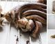 How to make braided chocolate brioche