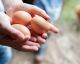 14 Foods That Help Your Body Hold Muscle and Burn Fat