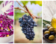 25 Foods That Fight Wrinkles