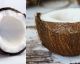 SOLVED: How to crack open a coconut