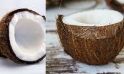 SOLVED: How to crack open a coconut