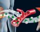 Meet The 4 Hormones That Mess With Your Weight