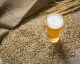 9 Home Brewing Tips for Beginners